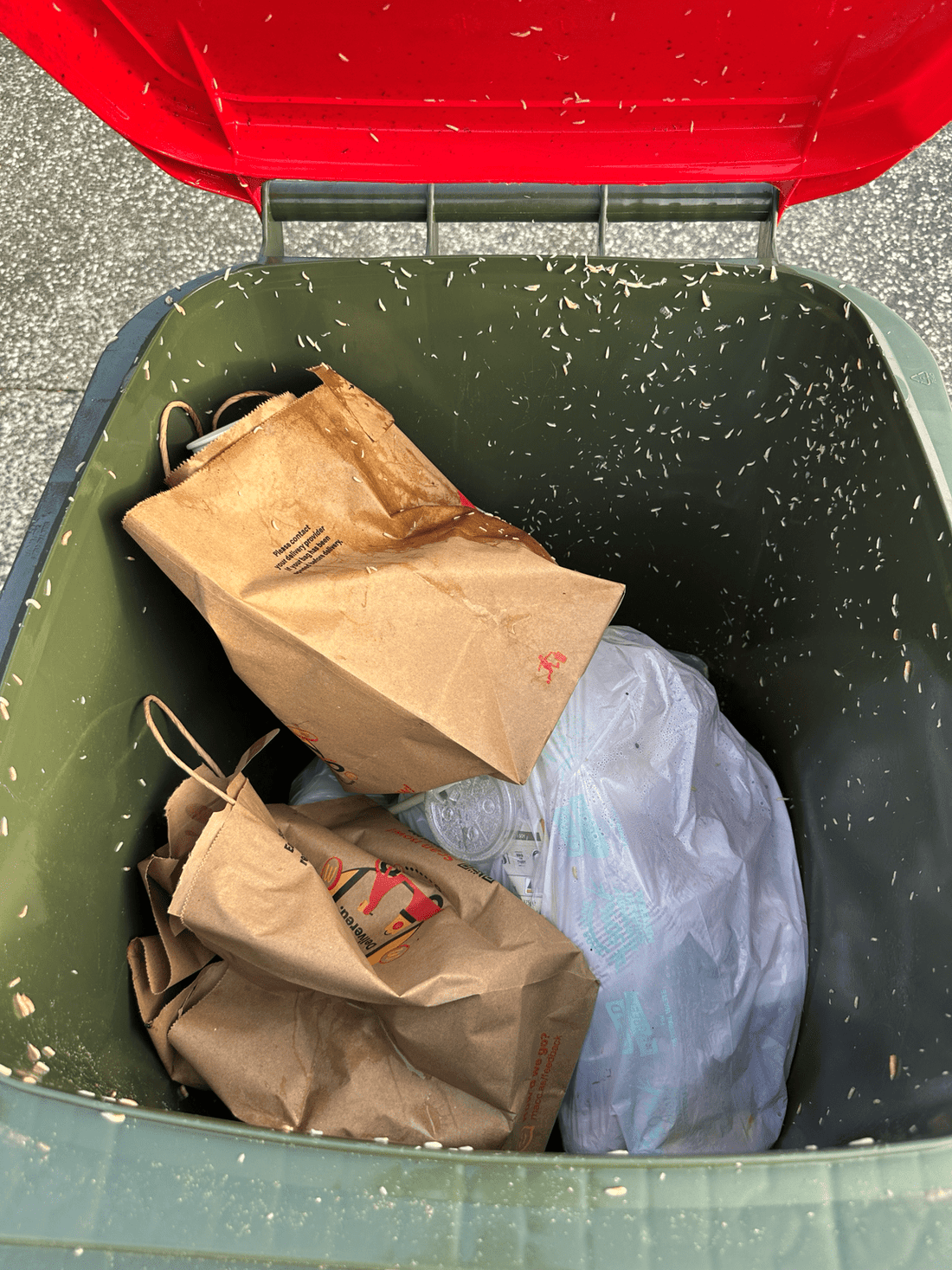 How to Stop Maggots in Your Wheelie Bin: 7 Simple Tips That Actually Work - Enviro Bin Cap